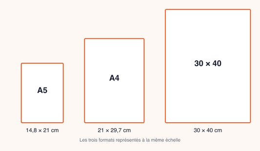Comparaison à l’échelle des trois formats d’affiche : A5 (14,8 × 21 cm), A4 (21 × 29,7 cm) et 30 × 40 cm